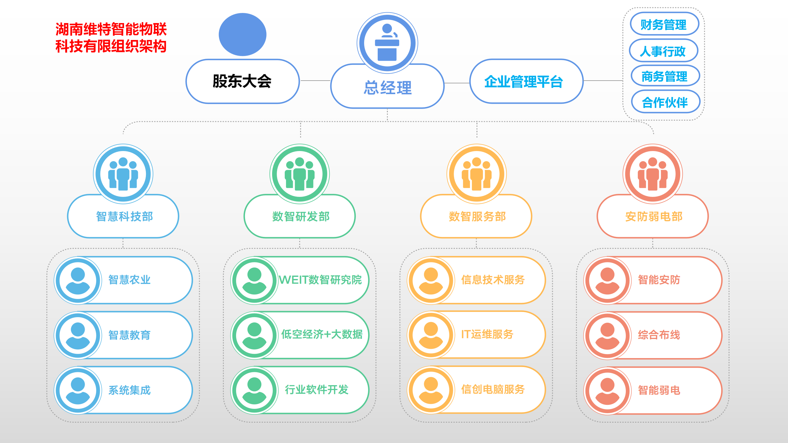 湖南维特智能物联科技有限公司组织架构图