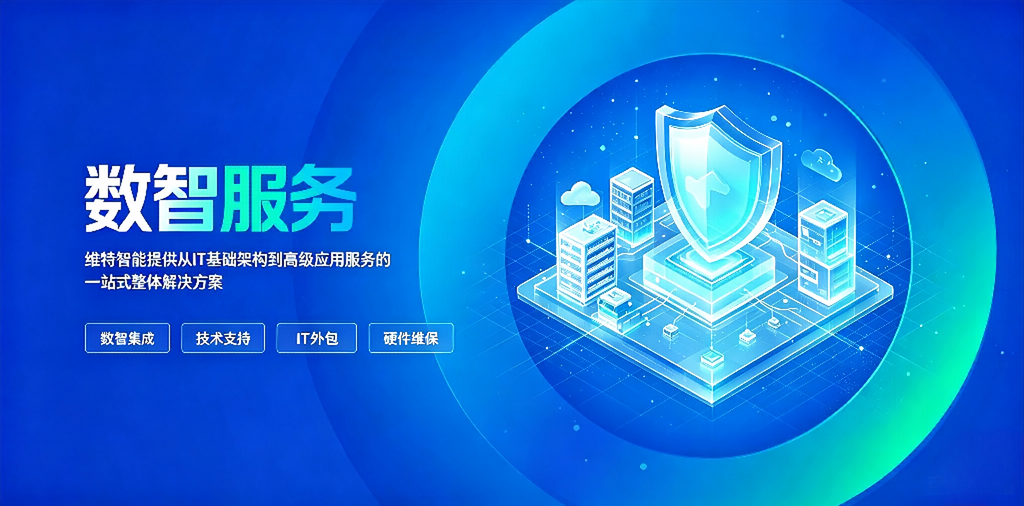 维特智能 · 数智服务